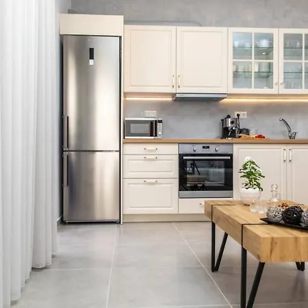 公寓 Arktos Luxury Naxos City